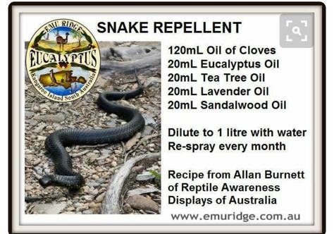 Snake Repellant, Snake Repellent, Backyard Trees, Natural Pest Control, Sandalwood Oil, Bug Repellent, Yard Work, Garden Pests, Insect Repellent