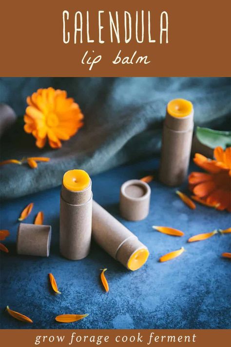 Nourish and protect your lips with this DIY calendula lip balm recipe. Experience the healing benefits of calendula and embrace the magic of homemade skincare. Start your lip care journey today and indulge in the natural goodness of this nourishing balm. Pamper your lips with the power of herbs for health and enjoy soft, supple lips every day. Calendula Recipes, Easy Lip Balm Recipe, Easy Lip Balm, Herbal Lip Balm, Lip Balm Recipe, Diy Lip Balm Recipes, Homemade Skincare, Balm Recipe, Homemade Body Butter