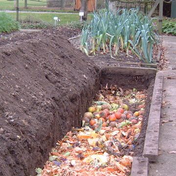 Trench or “Hole” Composting – The Peterborough & Area Master Gardeners Compost Kitchen, Fenced Vegetable Garden, Small City Garden, Compost Bins, Yard Waste, Fertilizer For Plants, Veg Garden, Organic Garden, Master Gardener