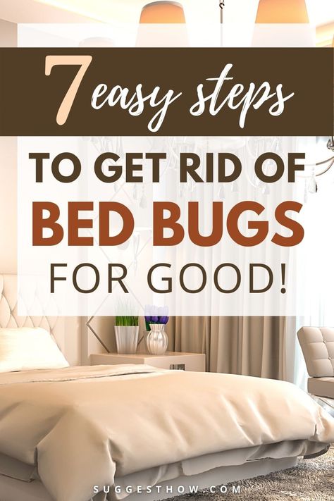 How To Get Rid Of Bugs In The House, Get Rid Of Bed Bugs, Bedbugs Get Rid Of, Get Rid Of Bugs In House, Bed Bug Repellent, Bed Bugs How To Get Rid Of Diy, Bed Bug Trap Diy, How To Get Rid Of Carpet Bugs, Bedbugs Removal Diy