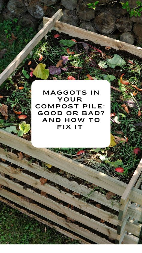 Maggots In Your Compost: Is This Good or Bad? - Diy Compost Bin, Tumbling Composter, Compost Heap, Compost Container, Compost Bin Diy, Compost Bucket, Compost Tumbler, Diy Compost, Composting Process