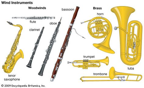 Brass Family Instruments, Woodwind Family, Types Of Instruments, Bass Saxophone, Instruments Of The Orchestra, Encyclopedia Britannica, Musical Instruments Drawing, Wind Instruments, Flute Instrument