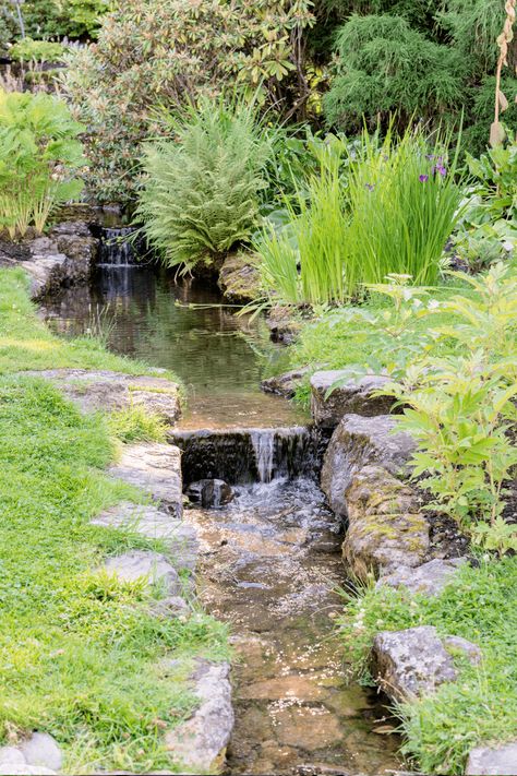 22 Innovative Backyard Stream Ideas (With Pictures) Man Made Stream, Naturalized Landscaping, Backyard Streams, Backyard Stream, Stream Ideas, Garden Stream, Kolam Koi, Pond Landscaping, Backyard Water Feature