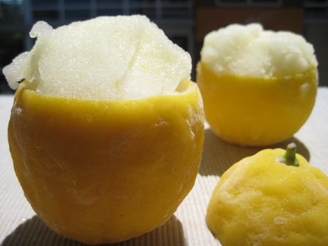 lemon italian ice recipe - Bing Images Lemon Italian Ice, Italian Ice Recipe, Ice Recipe, Icee Recipe, Lemon Ice, Italian Ice, Homemade Italian, Frozen Desserts, Frappe