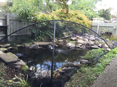 A net is stretched across the pond and anchored with rocks and/or pins.  It is best not to have the net resting on the water surface since it will be difficult to remove with all the debris on it.  Once all the leaves have fallen, the net can be  removed for the winter. Pond Netting Ideas, Axolotl Care, House Pond, Ponds Ideas, Pond Covers, Diy Honey, Pond Netting, Goldfish Pond, Pond Maintenance