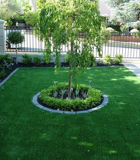 Trees For Front Yard, Small Front Gardens, Landscaping Around Trees, Front Gardens, Front Garden Landscape, Small Front Yard Landscaping, Front Garden Design, Front Yard Design, Front Yard Garden Design