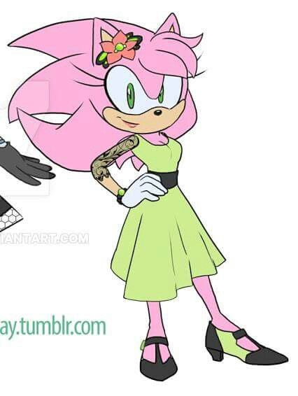 Aurora the hedgehog Sonic Boom Amy, Sonic Collection, Funny Sonic, Aurora Rose, Sonic And Amy, Sonic Funny, Disney Princess Drawings, Sonic Fan Characters, Sonic 3