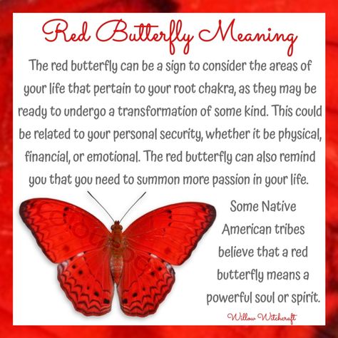 Willow Witchcraft Red Butterfly Meaning, Orange Butterfly Meaning Spiritual, Butterfly Symbolism Meaning, Butterfly Spirit Animal, Butterfly Symbolism, Butterfly Meaning, Butterfly Facts, Spirit Animal Meaning, Animal Meanings