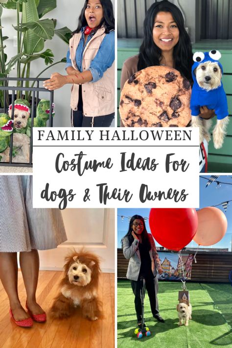 Golden Retriever Halloween Costume, Dog And Owner Costumes, Dog Costume Ideas, Best Dog Halloween Costumes, Puppy Halloween Costumes, Halloween Costume Inspiration, Halloween Dog Costume, Mom Halloween Costumes, Ideas For Dogs