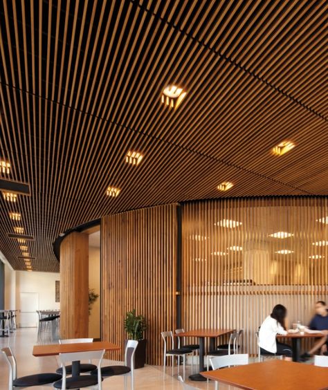 edge wood ceiling structure, filtering ceiling above, with can lighting Ceiling Slats, Cotswolds Interior, Wood Ceiling Panels, Wood Slat Ceiling, Ceiling Solutions, Rec Center, Armstrong Ceiling, Timber Battens, Timber Slats