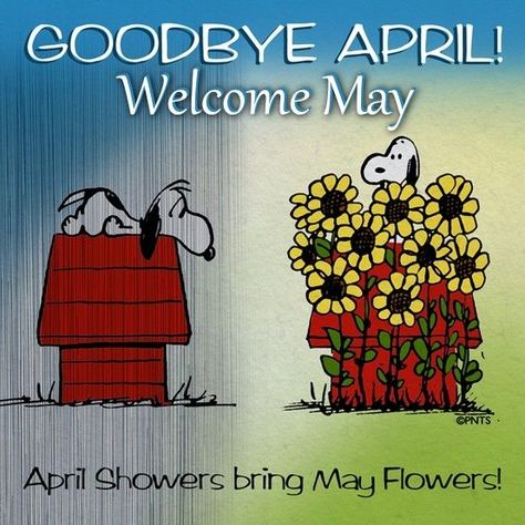 Goodbye April Welcome May I think Bye April, Goodbye April, Quote Videos, Neuer Monat, Newspaper Cartoons, Wallpaper For Facebook, Welcome May, Cozy Art, Pinterest Download