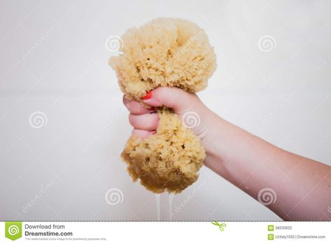 She squeezed me like a sponge. Womans hand squeezes a natural sponge #Sponsored , #ADVERTISEMENT, #ad, #sponge, #natural, #squeezes, #squeezed Sponge Drawing, Natural Sponge, Healing Books, Infographic Design Inspiration, Inspiration Ideas, Infographic Design, Design Inspiration, Healing, Bible