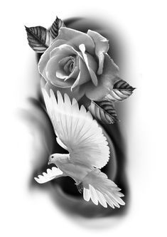 Dove And Roses Tattoo, Rose Dove Tattoo, Dove And Rose Tattoo, Angelo Guerriero, Dove Tattoo Design, Realistic Rose Tattoo, Dove Tattoos, Rose Drawing Tattoo, Rose Hand Tattoo