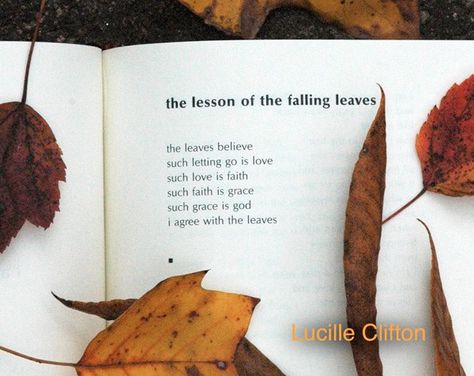 Lucille Clifton's lesson of the falling leaves Falling Leaves Quotes, Leaves Quotes, Lucille Clifton, Leaf Quotes, Circle Clipart, Fall Classroom, Helpful Hacks, Poetic Justice, Stay Alive