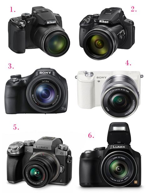 Daily Dose of Design: Finding the Right Camera for You: Great Cameras for Beginners Digital Art Easy, Best Professional Camera, Digital Camera For Beginners, Beginner Photography Camera, Best Camera For Photography, Digital Art Software, Amazon Electronics, Cheap Cameras, Best Digital Camera