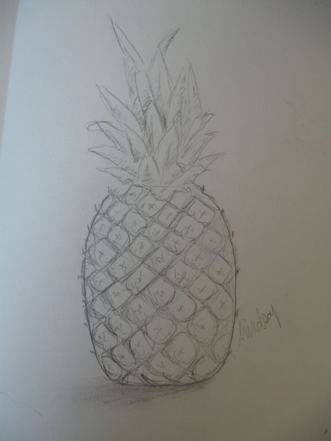 Drawing Pineapple, Pineapple Sketch, Pineapple Drawing, Pineapple Wallpaper, Shading Drawing, Creepy Drawings, Cool Pencil Drawings, Leaf Drawing, Pop Art Painting