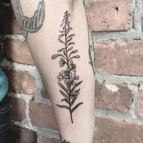 Pioneer Peak Alaska Tattoo, Fireweed Tattoo, Alaska Tattoo, Tattoo Mini, Sister Tattoo, Floral Tattoos, Western Tattoos, Fire Tattoo, Mother Tattoos