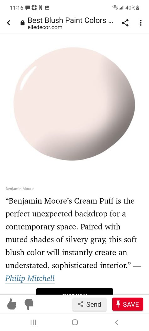 Cream Puff Paint Color Benjamin Moore, Soft Pink Paint Color, Chic Office Decor, Pink Paint Colors, Paint Color Inspiration, House Color Palettes, Perfect Paint Color, Neutral Paint Colors, Favorite Paint Colors