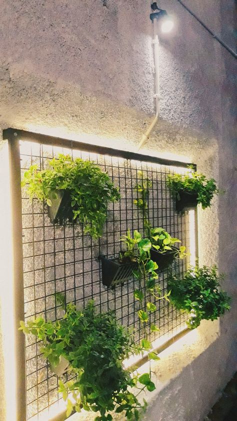 Plant Arch, Brick Wall Decor, Vertikal Garden, Garden Lighting Design, Niche Wall, Indoor Courtyard, Roof Garden Design, Vertical Garden Wall, Wall Texture Design