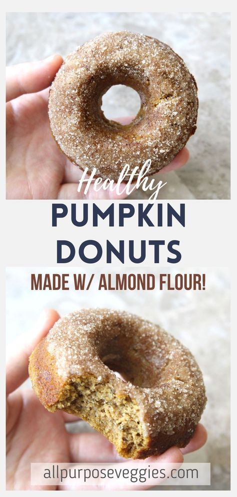 Almond Flour Pumpkin Donuts Baked, Baked Pumpkin Donuts Recipe Healthy, Gf Pumpkin Donut Recipe, Protein Pumpkin Donuts Baked, Paleo Pumpkin Donuts Baked, Coconut Flour Donut Recipes, Flourless Donut Recipe, Pumpkin Almond Flour, Paleo Donuts Baked