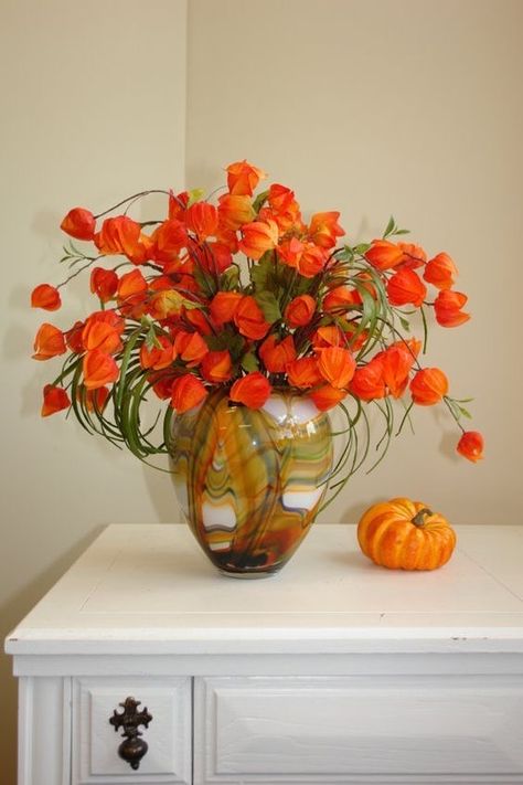 Chinese Lanterns Plant, Wreaths Fall, Wreath Pumpkin, Orange Autumn, Autumn Magic, Fall Arrangements, Flower Bucket, Plant Painting, Chinese Lanterns