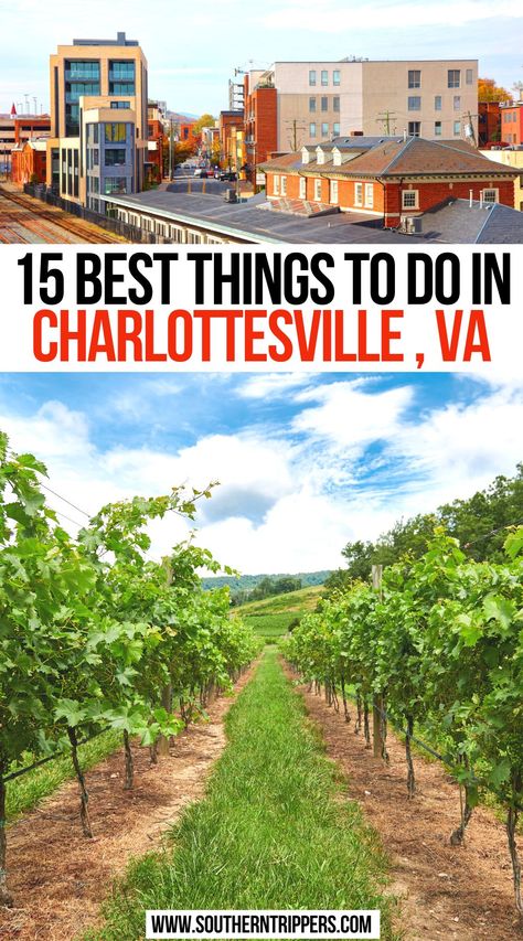 15 Best Things to do in Charlottesville , VA Things To Do In Charlottesville Va, Visit Virginia, Things To Do Inside, Southern Usa, North America Travel Destinations, Trip Destinations, Virginia Travel, Charlottesville Virginia, Us Road Trip