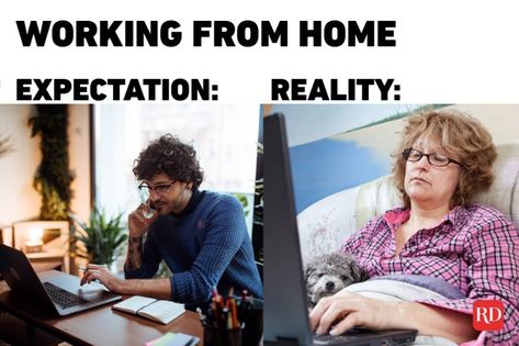 Working from Home Memes That Are Hilariously Accurate | Reader's Digest Working From Home Meme, Work Cartoons, Fun Walk, Employee Satisfaction, Expectation Vs Reality, Funny Work, Have A Laugh, Work Humor, Dog Memes