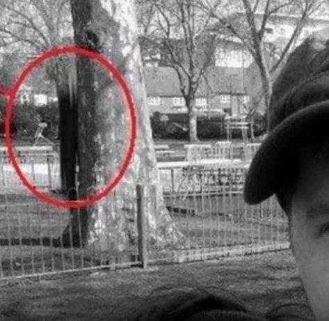 Bone-Chilling Pictures That Might Prove Slenderman Is More Than Just An Internet Legend Slenderman Real, Slenderman Sightings, Chilling Pictures, Creepypasta Slenderman, Creepy Ghost, Blair Witch, Slender Man, Marble Hornets, Slenderman