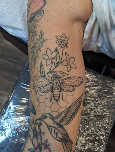 Cicada, floral, and honeycomb linework seven months healed, photo before shading and color added. Placement: inner bicep Bicep Tattoo Women Traditional, Inner Bicep Tattoo Women Traditional, Garden Tattoo Sleeve Patchwork, Insect Half Sleeve Tattoo, Inner Bicep Tattoo Women, Flower And Bug Tattoo Sleeve, Floral Insect Sleeve Tattoo, Bicep Tattoo Women, Inner Bicep Tattoo