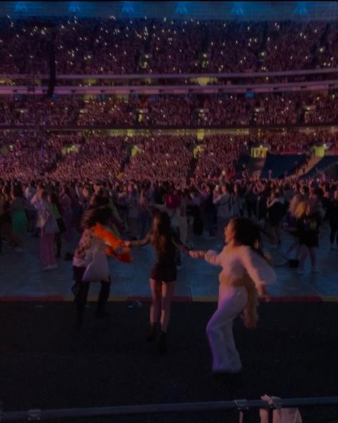 Harry Styles Fans Concert, Love On Tour Crowd, Fan Girl Aesthetic, Harry Styles Concert Aesthetic, Love On Tour Aesthetic, Hslot Aesthetic, Concert With Friends, Harrie Core, Harry Coded