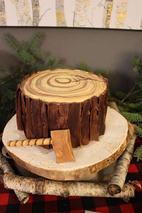 Fairy Birthday Party Ideas, Woodland Fairy Birthday Party, Tree Stump Cake, Woodland Fairy Birthday, Lumberjack Cake, Camping Cakes, Lumberjack Birthday Party, Forest Birthday Party, Lumberjack Birthday