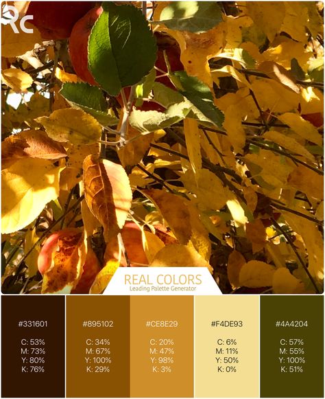 #RealColors October Apples Apps Design, Coloring Apps, Design Seeds, Color Palettes, Color Inspiration, Apples, See More, Color Palette, Seeds