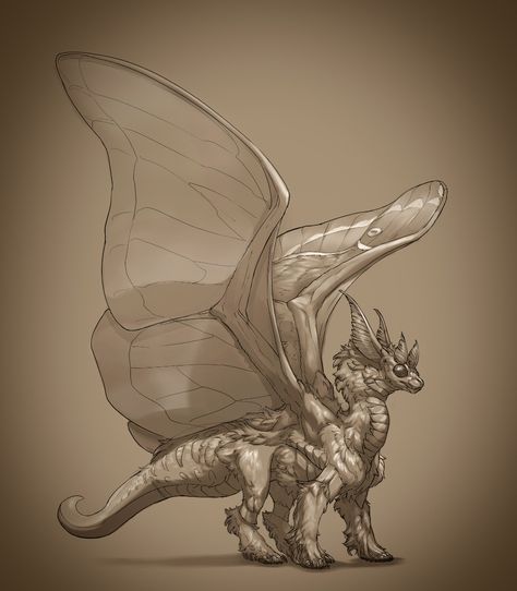 ArtStation - Moth Dragon Concept Sketch Moth Dragon, Dragon Concept, Wings Sketch, Dragon Anatomy, Dragon Sketch, Dragon Images, Dragon Puppet, Fiction Idea, Creature Drawings