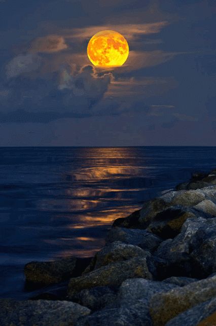 gif of moonlight on coastline water Full Moon Rising, Shoot The Moon, Moon Rising, Moon Pictures, Moon Rise, The Full Moon, Beautiful Moon, Chiaroscuro, Belize