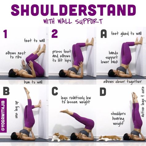 #howtoyogawithjib 🦄 Here is an approach to #shoulderstand or #salambasarvangasana using the wall support. Refer to to my previous tutorial… Shoulder Stand Yoga, Begginers Yoga, Wall Yoga, Yoga Nature, Shoulder Stand, Yoga Poses Advanced, Advanced Yoga, Yoga Motivation, Ashtanga Yoga