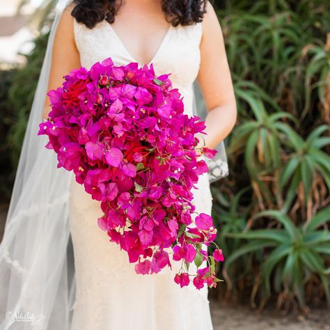 Bougainvillea Bridal Bouquet, Bougainvillea Wedding Bouquet, Bougainvillea Bouquet, Pug Wedding, Bougainvillea Wedding, Dog Of Honor, Magenta Wedding, Key West Wedding, Boda Mexicana