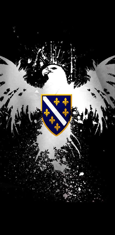 Bosnian Flag Wallpaper, Fk Sarajevo Wallpaper, Bosnia And Herzegovina Flag Wallpaper, Balkan Wallpaper, Bosnian Wallpaper, Bosnia Wallpaper, Bosnia Aesthetic, Bih Bosnia And Herzegovina Flag, Bosnian Flag