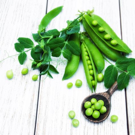 Kacang Kapri, Perbedaan dengan Kacang Polong dan Segudang Manfaatnya – Titipku Blog Kacang Polong, Program Diet, Green Peas, Photo Download, Cactus Plants, Eggplant, Celery, Green Beans, Asparagus