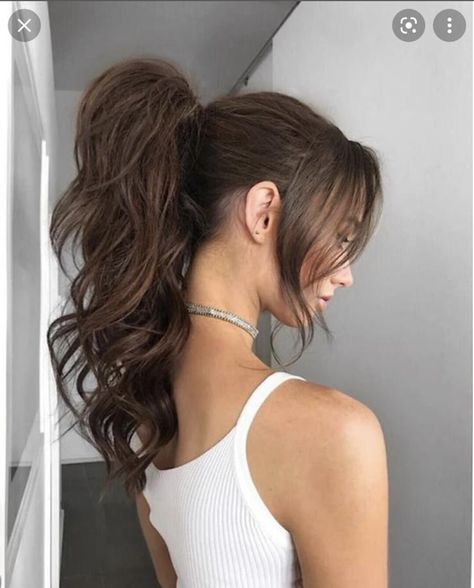 Ponytail Bridal Hair, Pony Hairstyles, Formal Hairstyles For Long Hair, High Ponytail Hairstyles, Halo Hair Extensions, Halo Hair, High Ponytail, Hair Ponytail Styles, Ponytail Styles