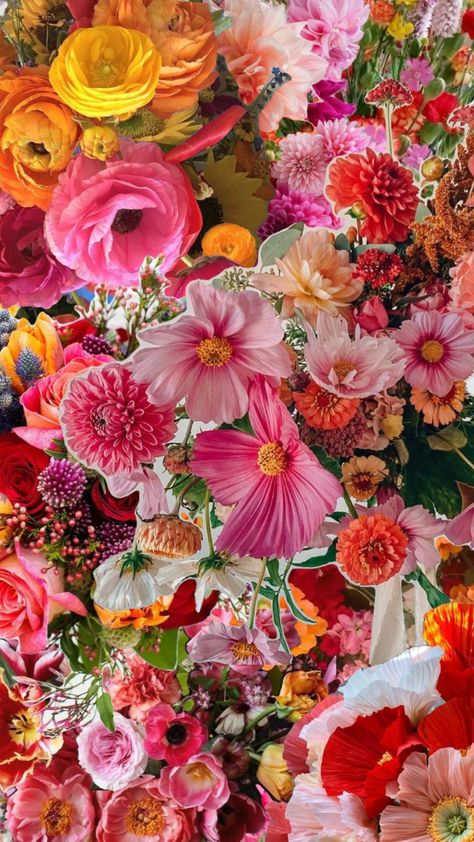 #flowers #red #pink #orange #yellow #green #growth #pretty #aesthetic #purple #wallpaper #background Yellow Halloween Nails, Pink Flowers Background, Orange Bouquets, Orange Wedding Flowers, Pink Flower Dress, Pink Flowers Wallpaper, Hot Pink Floral, Pink And Purple Flowers, Rose Orange