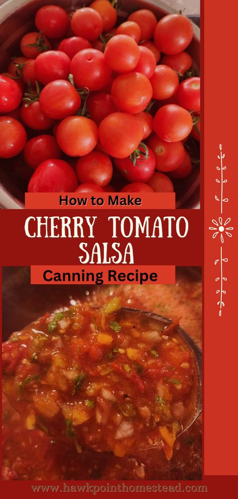 This cherry tomato salsa recipe for canning is so delicious and easy to make. It is so fun to make salsas and sauces from those pretty red cherry tomatoes. Just pop them in the food processor with the other ingredients and off you go. Makes a great gift too for any occasion! How To Preserve Tomatoes Without Canning, Canned Cherry Tomatoes Recipes, Cherry Tomato Salsa Recipe, Tomato Salsa Canning, Salsa Recipe For Canning, Canning Cherry Tomatoes, Canned Salsa Recipes, Salsa Canning Recipes, Best Salsa Recipe