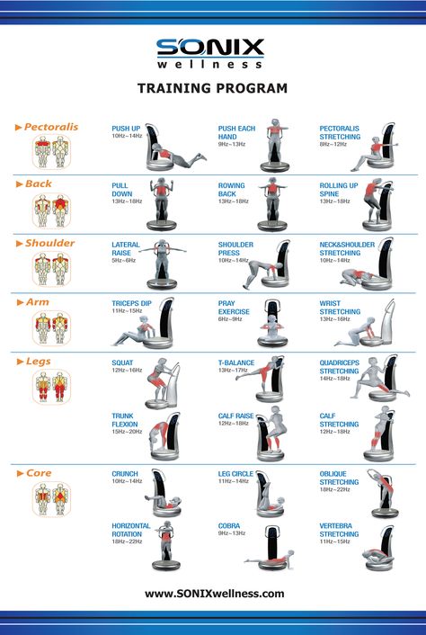 SONIX has the ability to direct precise vertical vibrations to specific body parts and organs with frequencies - 3-50 Hz. Vibrations Chart, Vibration Machine Exercises, Whole Body Vibration Workout, Vibration Plate Workout, Power Plate Workout, Vibrating Plate, Plate Workout, Plate Exercises, Vibration Exercise Machines