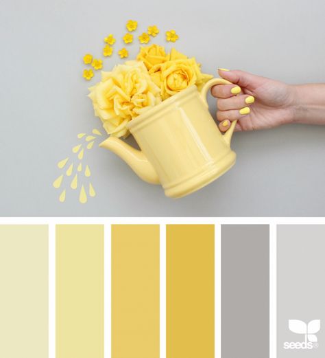 Color Create | design seeds | Bloglovin’ Beige And Yellow Color Palette, Colour Palette With Grey, Yellow Palette, Seeds Color, Visual Merchandiser, Flora Design, Yellow Colour Scheme, Color Palette Yellow, Autumn Design