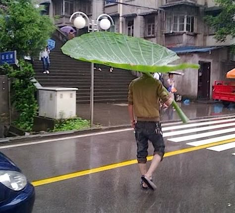 giant leaf umbrella, diy umbrella for Arietty Dik Dik, 9gag Funny, School Memes, Anime Memes Funny, Anime Meme, Disney Memes, صور مضحكة, Komik Internet Fenomenleri, Miyazaki