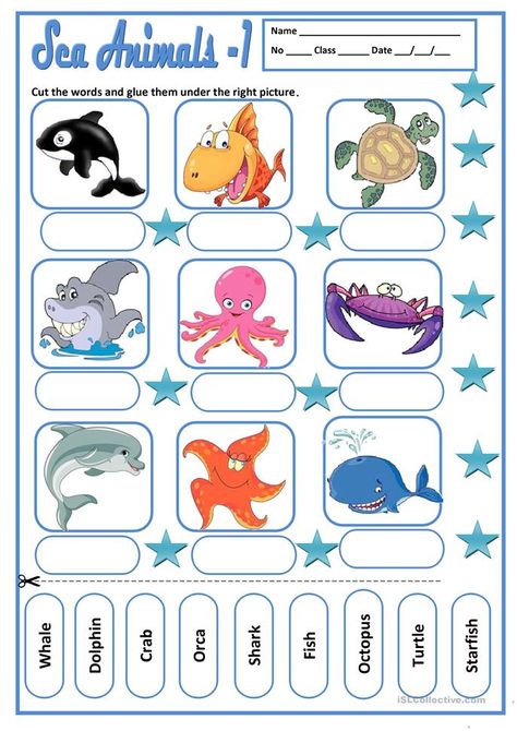 SEA ANIMALS 1 - English ESL Worksheets for distance learning and physical classrooms Kindergarten Esl, Nature Lessons, Ocean Theme Preschool, Animal Activities For Kids, Animal Worksheets, Learning English For Kids, Water Animals, Animal Activities, Animal Habitats