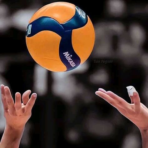 Bola Volly Aesthetic, Ariana Grande Grammys, Volleyball Wallpaper, Volleyball Pictures, Sports Aesthetic, Volley Ball, A Series Of Unfortunate Events, Soccer Ball, Volleyball