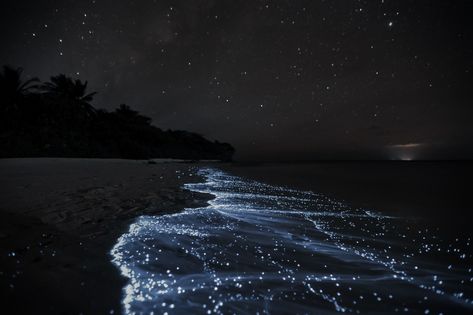 Aquarius Aesthetic Wallpaper Laptop, Tropical Night Aesthetic, Cool Wallpapers Computer, Starry Beach, Cool Wallpapers For Computer, Aquarius Aesthetic, Macbook Air Wallpaper, Sea Of Stars, Beach At Night