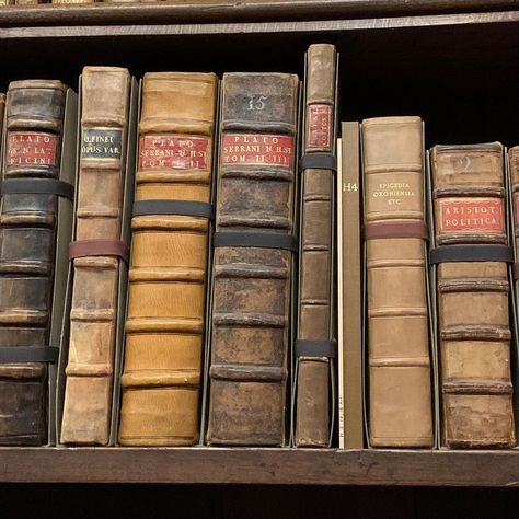 @thestevencree : Just a book shelf containing 2400 year old texts from Aristotle and Plato. The Bodleian Library. Oxford University. @adiscoveryofwitchestv #adiscoveryofwitches Steven Cree, Library Oxford, Bodleian Library, A Discovery Of Witches, Oxford University, Book Shelf, Old Books, Writing Inspiration, Book Aesthetic