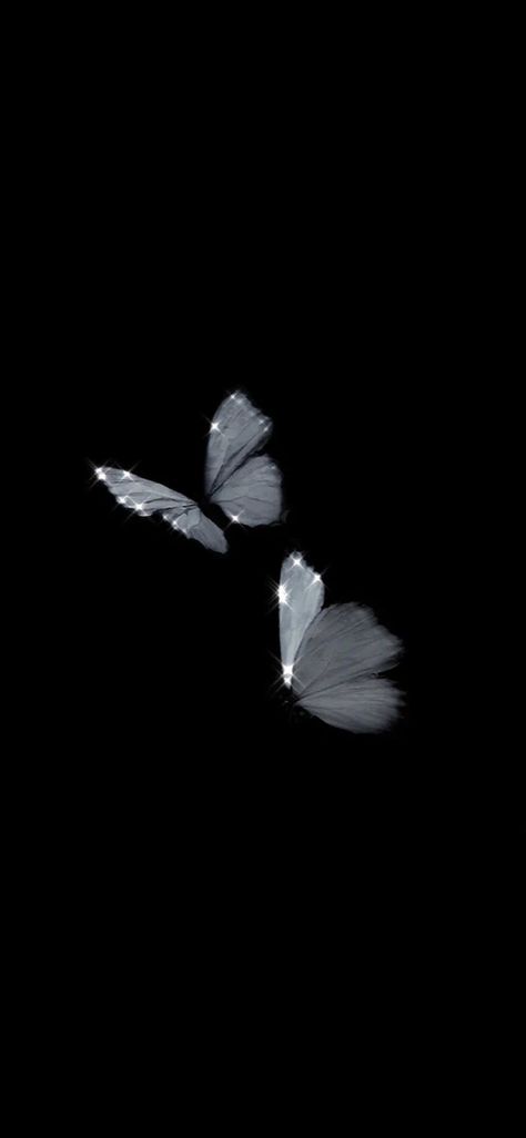 White Butterflies, Photography Work, Butterfly Wallpaper, I Want, Butterflies, Black