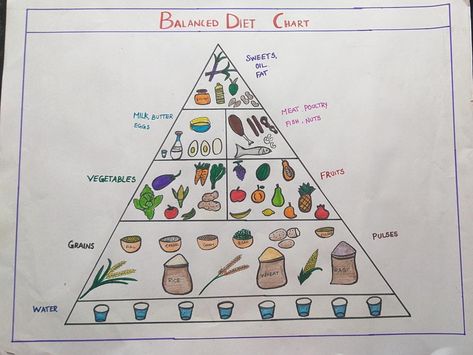 Heallthy food habits come only with proper upbringing. Balanced Diet Chart, Pyramid Model, Healthy Food Chart, Balance Diet, Nutrition Classes, Nutrition Activities, Diet Chart, Food Pyramid, Flip Chart